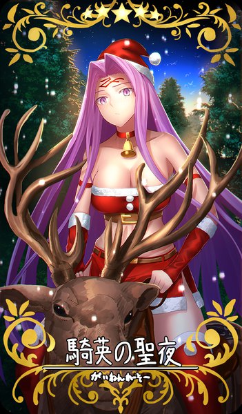 Anime picture 702x1200 with fate (series) fate/stay night rider minami koyogi single long hair tall image looking at viewer breasts light erotic large breasts purple eyes cleavage purple hair outdoors very long hair inscription fur trim hieroglyph snowing