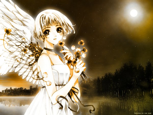 Anime picture 1024x768 with clover (manga) clamp suu (clover) single looking at viewer fringe short hair upper body outdoors parted lips night night sky sleeveless monochrome reflection angel wings nature angel lake mechanical wings