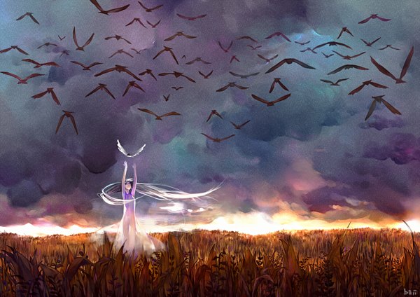 Anime picture 1414x1000 with original biji single long hair sky cloud (clouds) outstretched arm landscape nature field girl animal bird (birds)