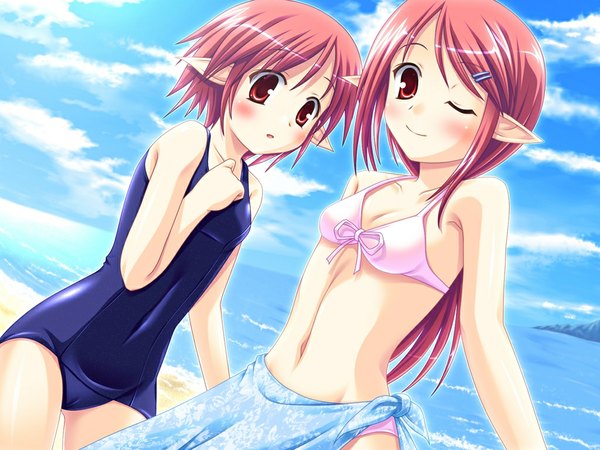 Anime picture 1024x768 with dungeon and fighter mage (dungeon and fighter) miu (c blue) long hair blush short hair light erotic smile red eyes multiple girls sky cloud (clouds) red hair one eye closed pointy ears wink beach girl 2 girls swimsuit