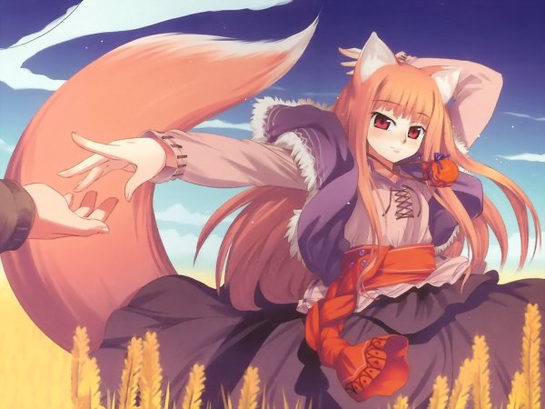 Anime picture 1200x900 with spice and wolf horo koume keito animal ears tagme