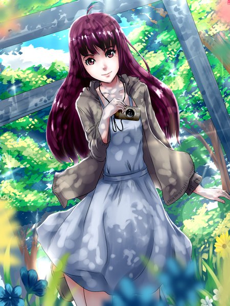 Anime picture 1200x1600 with original swordwaltz single long hair tall image looking at viewer highres smile purple eyes purple hair girl dress flower (flowers) plant (plants) tree (trees) sweater camera