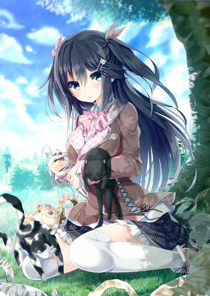 Anime picture 1000x1412 with original moe2013 kazu kakao single long hair tall image looking at viewer blue eyes black hair two side up girl thighhighs skirt hair ornament plant (plants) miniskirt white thighhighs hairclip cat grass