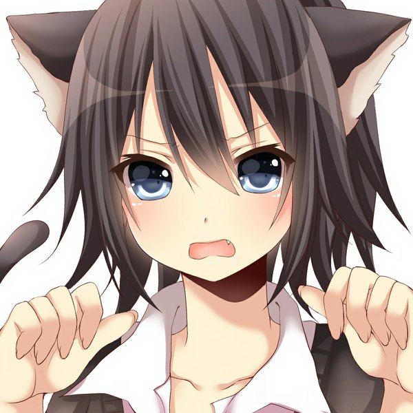 Anime picture 1024x1024 with original yamasuta single looking at viewer blush short hair open mouth blue eyes black hair simple background white background animal ears tail animal tail fingernails cat ears teeth :o cat girl cat tail