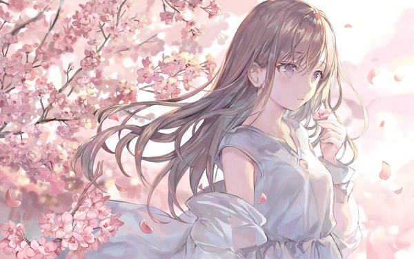 Anime picture 3507x2200 with original momoko (momopoco) single long hair blush fringe highres hair between eyes brown hair purple eyes holding looking away absurdres upper body wind cherry blossoms girl dress petals white dress