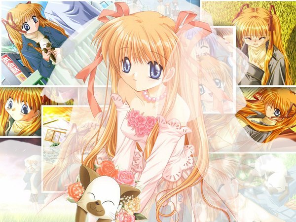 Anime picture 1024x768 with kanon key (studio) sawatari makoto piro wedding girl cat