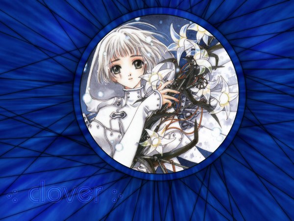 Anime picture 1280x960 with clover (manga) clamp suu (clover) single short hair silver hair wallpaper copyright name girl flower (flowers) lily (flower)
