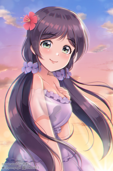 Anime picture 2316x3488 with love live! school idol project sunrise (studio) love live! toujou nozomi ponyagii single long hair tall image looking at viewer fringe highres smile standing twintails green eyes signed sky purple hair cloud (clouds) outdoors