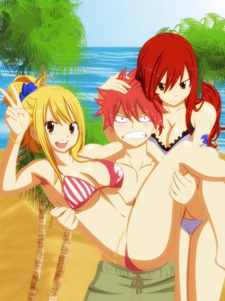 Anime picture 4500x6001 with fairy tail lucy heartfilia erza scarlet natsu dragneel osama00 long hair tall image highres short hair open mouth light erotic blonde hair smile multiple girls holding brown eyes pink hair absurdres sky ponytail