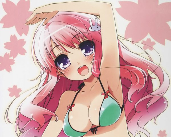 Anime picture 1600x1280 with baka to test to shoukanjuu silver link himeji mizuki single long hair blush breasts open mouth light erotic simple background purple eyes pink hair armpit (armpits) girl hair ornament bow hairclip bikini top bunny