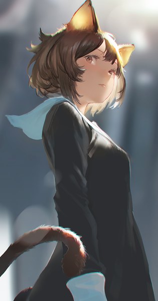 Anime picture 739x1406 with original mogumo single tall image fringe short hair brown hair standing brown eyes animal ears looking away tail long sleeves animal tail lips cat ears from below cat girl cat tail girl