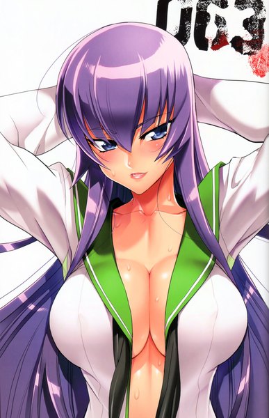 Anime picture 2527x3921 with highschool of the dead madhouse busujima saeko satou shouji long hair tall image looking at viewer blush highres breasts blue eyes light erotic purple hair scan girl uniform school uniform