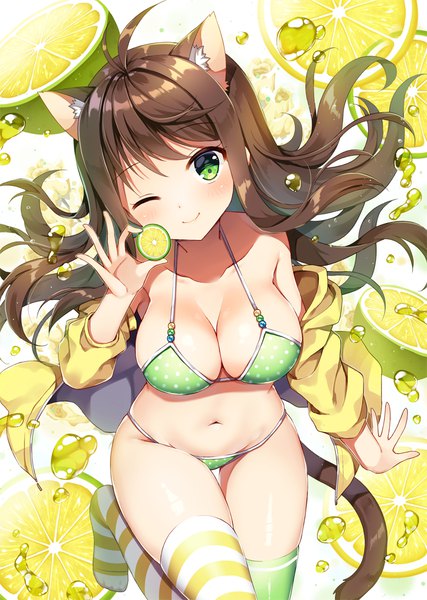 Anime picture 768x1080 with original mauve single long hair tall image looking at viewer blush fringe breasts light erotic simple background smile brown hair large breasts standing white background holding green eyes animal ears ahoge