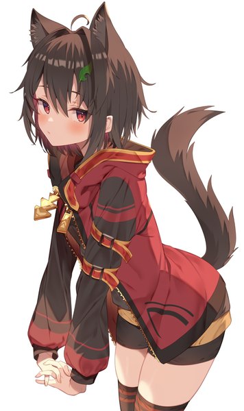 Anime picture 2372x4000 with original jun (aousa0328) single tall image looking at viewer blush fringe highres short hair simple background hair between eyes red eyes brown hair standing white background animal ears ahoge tail long sleeves animal tail