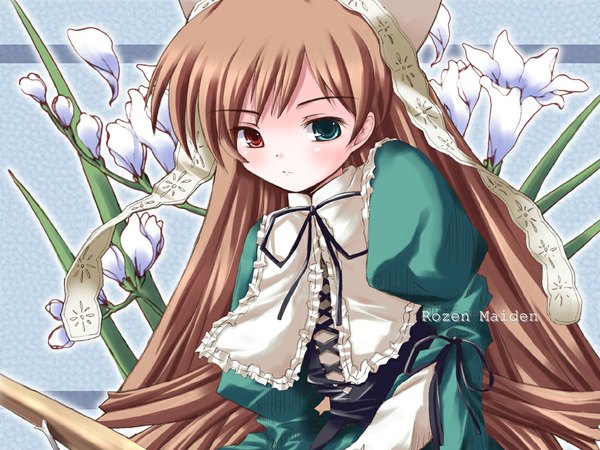Anime picture 1024x768 with rozen maiden suiseiseki heterochromia tagme