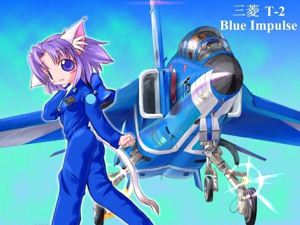 Anime picture 1024x768 with animal ears cat ears aircraft airplane tagme