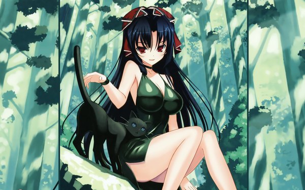 Anime picture 1920x1200 with 11 eyes doga kobo kuroshiba kanae bou single long hair looking at viewer highres light erotic black hair red eyes wide image girl dress cat short dress