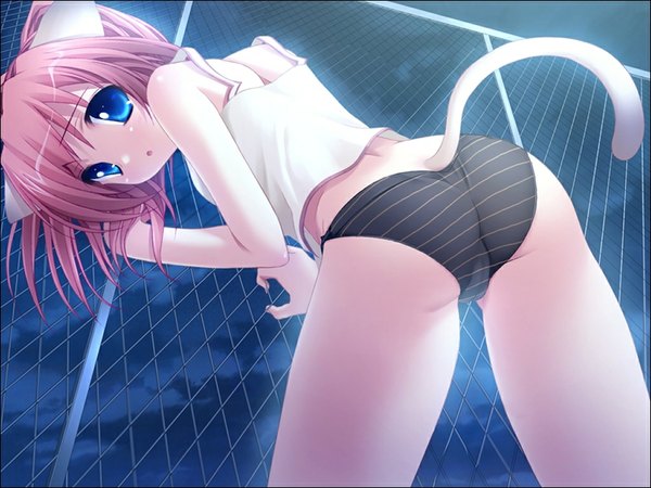 Anime picture 1024x768 with light erotic animal ears ass cat girl underwear only girl underwear panties striped panties cage