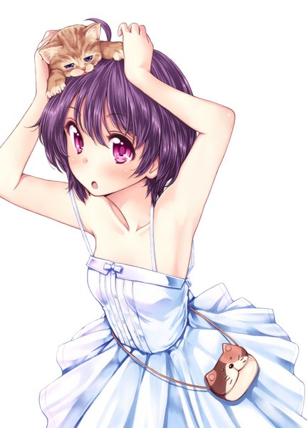 Anime picture 736x1024 with original tokunou shoutarou single long hair tall image looking at viewer blush short hair breasts open mouth simple background white background purple eyes purple hair ahoge armpit (armpits) sleeveless girl dress bow