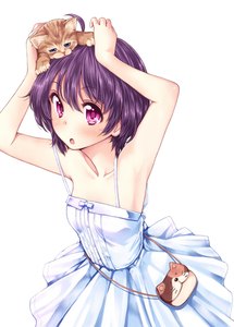 Anime picture 736x1024