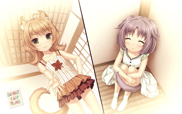 Anime picture 1920x1200 with neko paradise neko works (studio) maple (sayori) cinnamon (sayori) sayori long hair highres short hair blonde hair smile sitting multiple girls green eyes signed animal ears purple hair indoors tail eyes closed animal tail