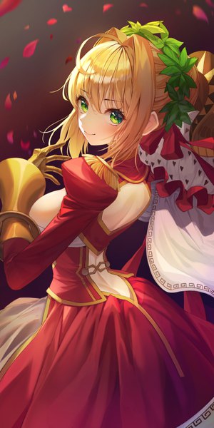Anime picture 3543x7087 with fate (series) fate/grand order fate/extra nero claudius (fate) (all) nero claudius (fate) munseonghwa single tall image looking at viewer blush fringe highres short hair breasts light erotic simple background blonde hair hair between eyes large breasts standing