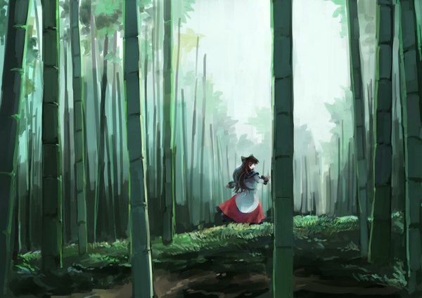 Anime picture 1023x723 with touhou imaizumi kagerou ichiba youichi single long hair brown hair animal ears from behind wolf ears nature bamboo forest girl dress tree (trees) forest mantle