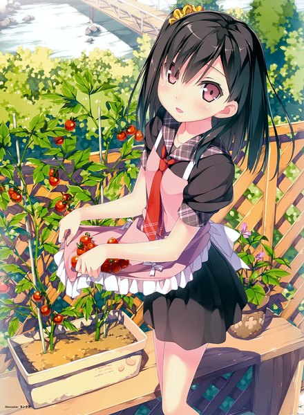 Anime picture 4071x5547 with original kantoku single tall image looking at viewer blush highres short hair black hair red eyes absurdres girl dress necktie apron tomato