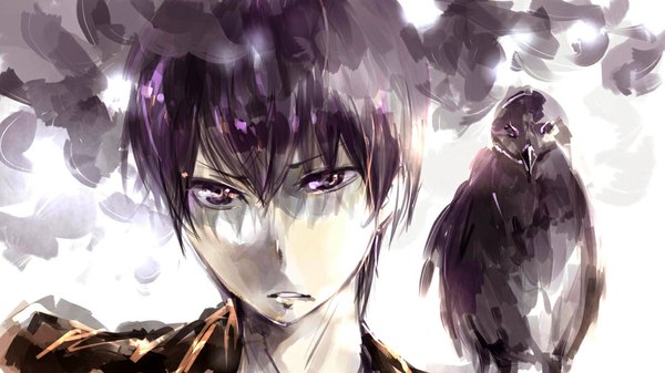 Anime picture 1024x576 with haikyuu!! production i.g kageyama tobio mi bait single looking at viewer fringe short hair wide image sitting purple eyes purple hair close-up boy animal bird (birds) crow beak