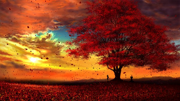 Anime picture 1920x1080 with original kun52 single long hair highres wide image sky cloud (clouds) wind sunlight wallpaper evening sunset mountain scenic silhouette autumn nature girl plant (plants)