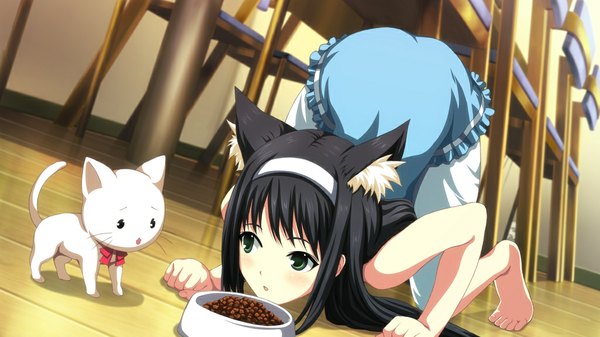 Anime picture 1024x576 with uni. special limited edition (game) long hair light erotic black hair wide image green eyes animal ears game cg cat ears cat girl girl cat