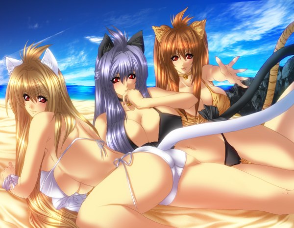 Anime picture 1200x933 with juri (shiningred) long hair looking at viewer breasts open mouth light erotic blonde hair red eyes brown hair large breasts multiple girls animal ears silver hair cat ears cat girl cat tail girl swimsuit bikini 3 girls