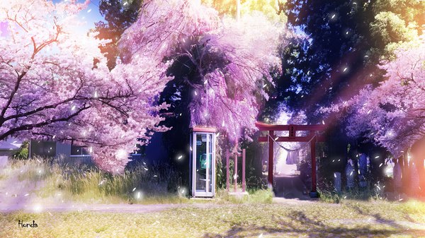 Anime picture 1920x1080 with original geshi highres wide image outdoors sunlight sparkle shadow wallpaper cherry blossoms no people sunbeam scenic plant (plants) petals tree (trees) grass torii path phone booth