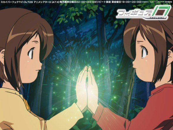 Anime picture 1024x768 with figure 17 shiina tsubasa shiina hikaru wallpaper tagme