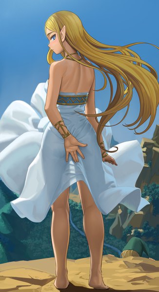Anime picture 1012x1858 with the legend of zelda the legend of zelda: breath of the wild nintendo princess zelda link lasterk long hair tall image looking at viewer blush blue eyes light erotic blonde hair standing bare shoulders sky full body ass outdoors profile