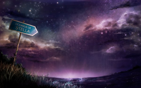 Anime picture 1680x1050 with original yun laurant wide image sky cloud (clouds) night night sky no people landscape scenic plant (plants) sea star (stars) grass traffic sign sign