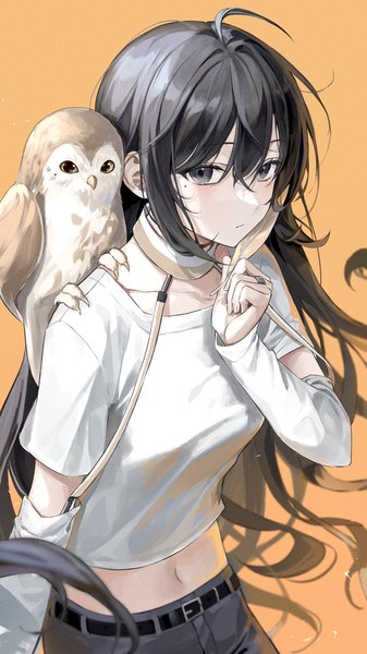 Anime picture 2000x3563 with original ekina (1217) single long hair tall image looking at viewer fringe highres black hair simple background hair between eyes standing holding ahoge long sleeves mole midriff grey eyes mole under eye orange background