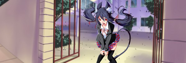 Anime-Bild 2000x684 mit original eudetenis single long hair blush fringe open mouth simple background hair between eyes red eyes wide image standing white background twintails animal ears blue hair looking away full body outdoors tail