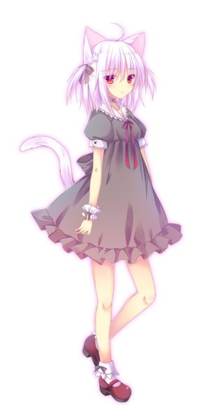 Anime picture 1062x2048 with original nyanyahinaichigo single tall image looking at viewer fringe short hair simple background hair between eyes red eyes standing white background animal ears full body ahoge white hair tail animal tail cat ears short sleeves
