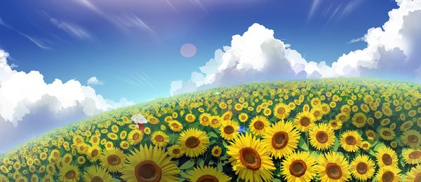 Anime picture 1500x652 with touhou kazami yuuka madcocoon single short hair wide image sky cloud (clouds) green hair from behind landscape girl umbrella sunflower
