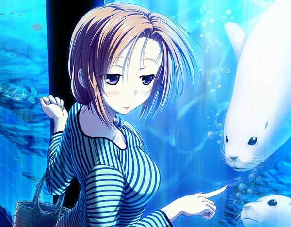 Anime picture 1181x922 with original ulisutariasu (artist) blush short hair brown hair black eyes girl underwear animal aquarium turtle