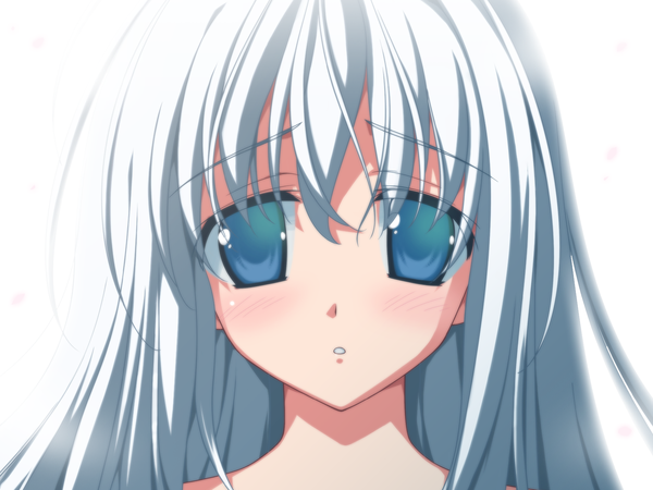 Anime picture 1600x1200 with wiz anniversary flolium blosselliand single long hair blush blue eyes simple background white background game cg white hair close-up girl