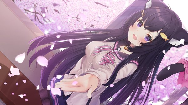 Anime-Bild 3500x1969 mit virtual youtuber kurumi! (channel) kurumi (kurumi!) nari (narikashi) single long hair looking at viewer blush fringe highres breasts open mouth black hair smile wide image standing purple eyes animal ears tail long sleeves