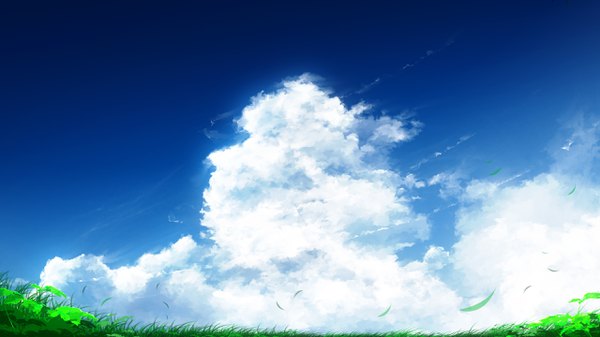 Anime picture 2560x1440 with original y y (ysk ygc) highres wide image sky cloud (clouds) wind wallpaper no people scenic plant (plants) leaf (leaves) grass