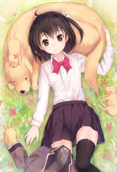 Anime picture 1000x1463 with original shouin tall image looking at viewer short hair black hair lying black eyes girl thighhighs skirt uniform flower (flowers) black thighhighs school uniform miniskirt shirt bowtie dog