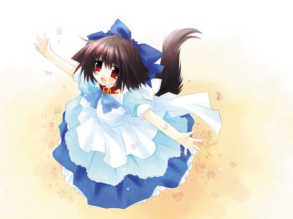 Anime picture 1600x1200 with sakurazawa izumi single looking at viewer fringe short hair open mouth black hair red eyes standing white background animal ears full body tail animal tail from above happy spread arms dog girl girl dress