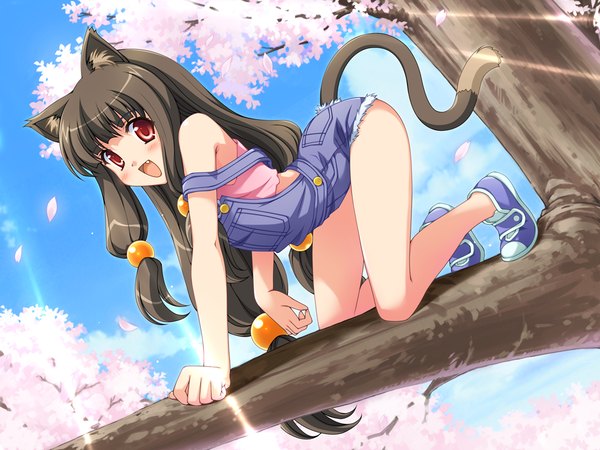 Anime picture 1024x768 with gratin (game) light erotic red eyes brown hair game cg cat girl girl