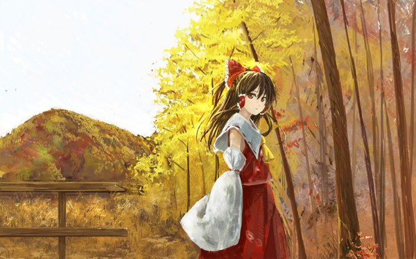 Anime picture 1500x937 with touhou hakurei reimu kinoto (ruindivinity) single long hair looking at viewer blush brown hair wide image brown eyes sky profile turning head mountain nature girl skirt hair ornament bow plant (plants)