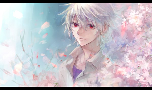 Anime picture 1514x905 with neon genesis evangelion gainax nagisa kaworu karimero (calimer0) single looking at viewer fringe short hair simple background hair between eyes red eyes wide image upper body white hair gradient background cherry blossoms blue background boy shirt petals