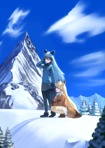 Anime picture 1190x1684 with kemono friends ezo red fox (kemono friends) silver fox (kemono friends) wasabi60 long hair tall image fringe blonde hair hair between eyes standing multiple girls brown eyes animal ears looking away sky cloud (clouds) full body outdoors tail long sleeves